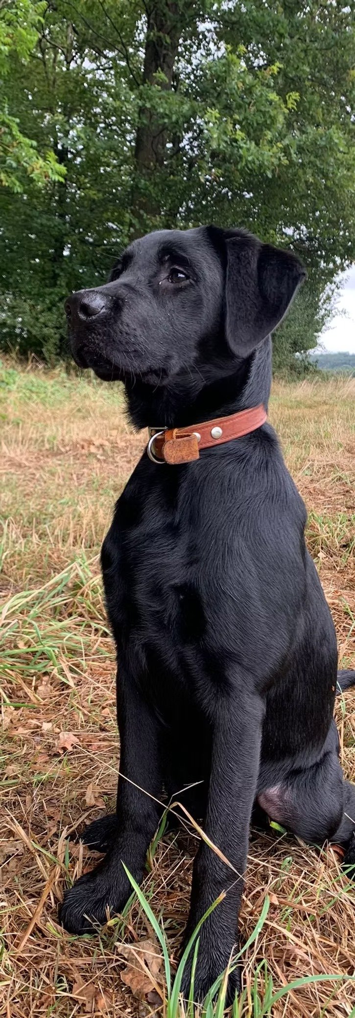 imageye___-_imgi_53_bd0da7_772b9fa52fb34843b7d7ca92a6704d88~mv2