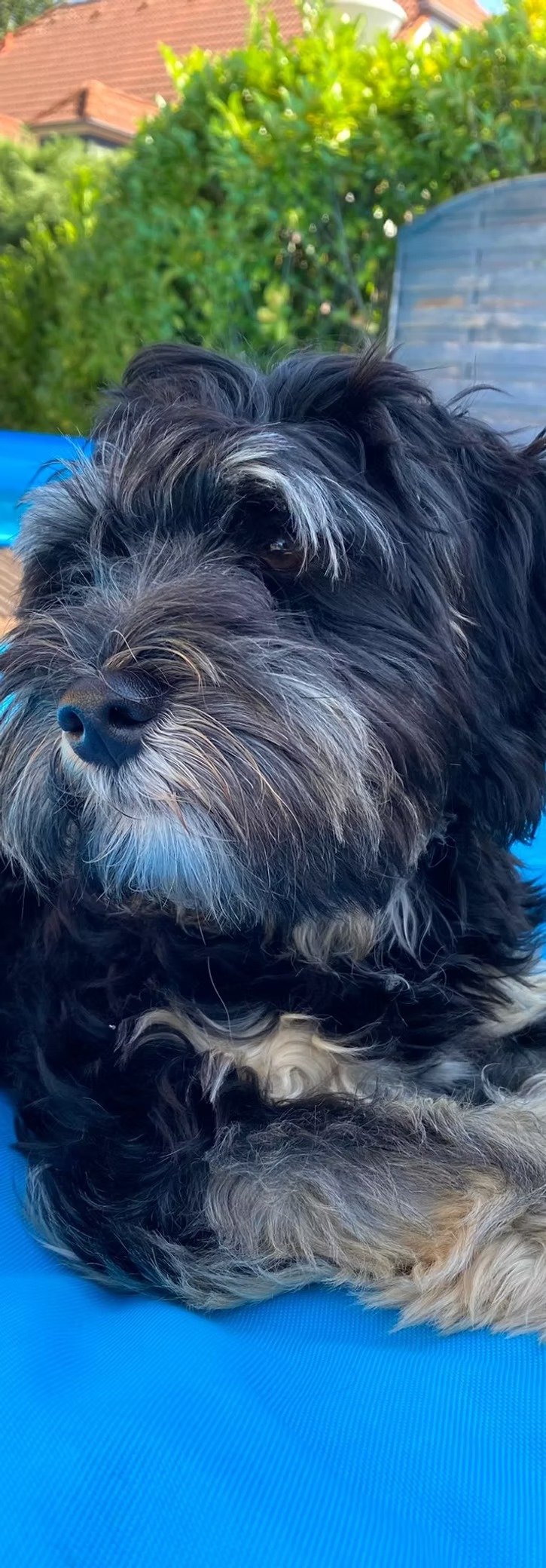 imageye___-_imgi_56_bd0da7_595ea98143fb4b53931a5c8513f8f660~mv2