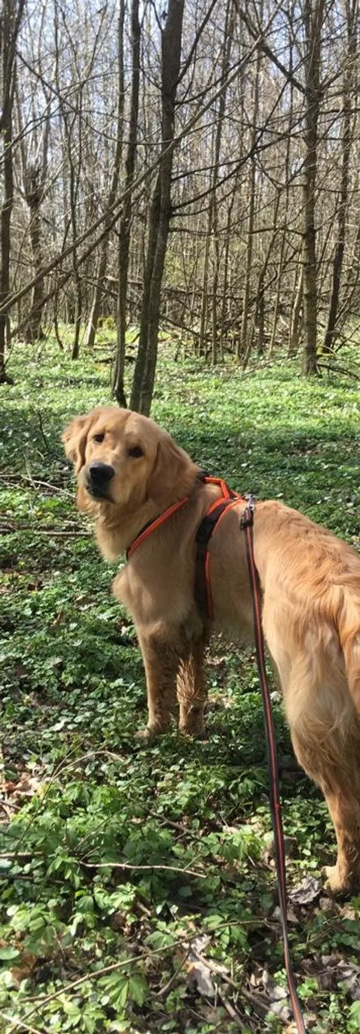 imageye___-_imgi_59_bd0da7_58d7fd947e3e497385fde5a31becea52~mv2