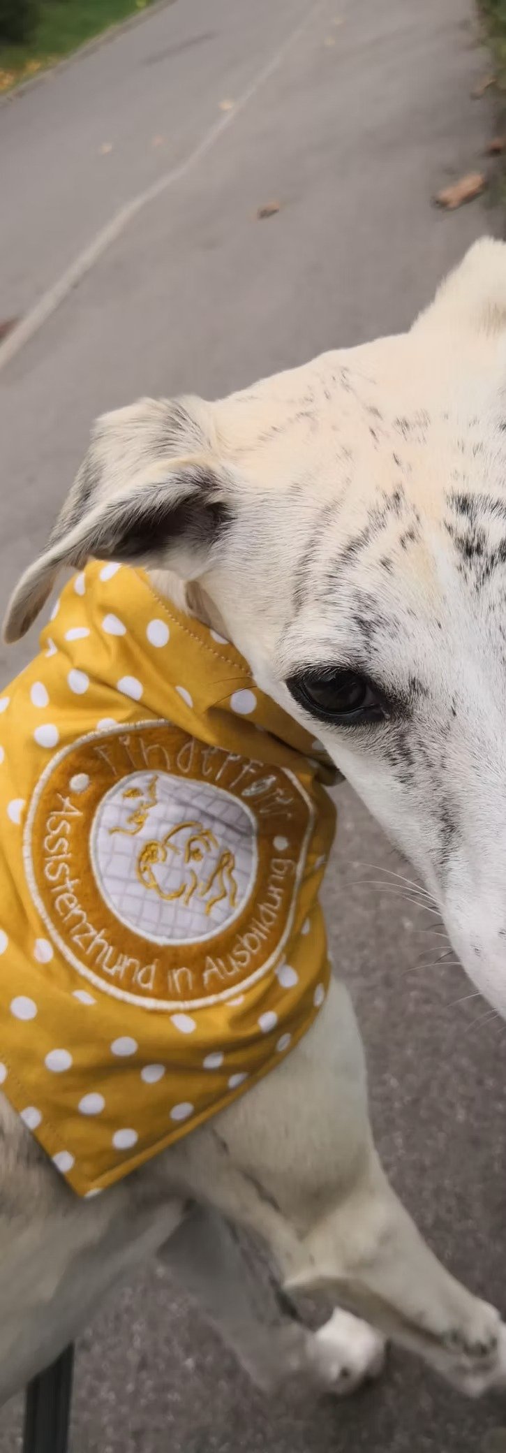 imageye___-_imgi_63_bd0da7_74c3b9a7d1fa41f0894e615aa208de0b~mv2