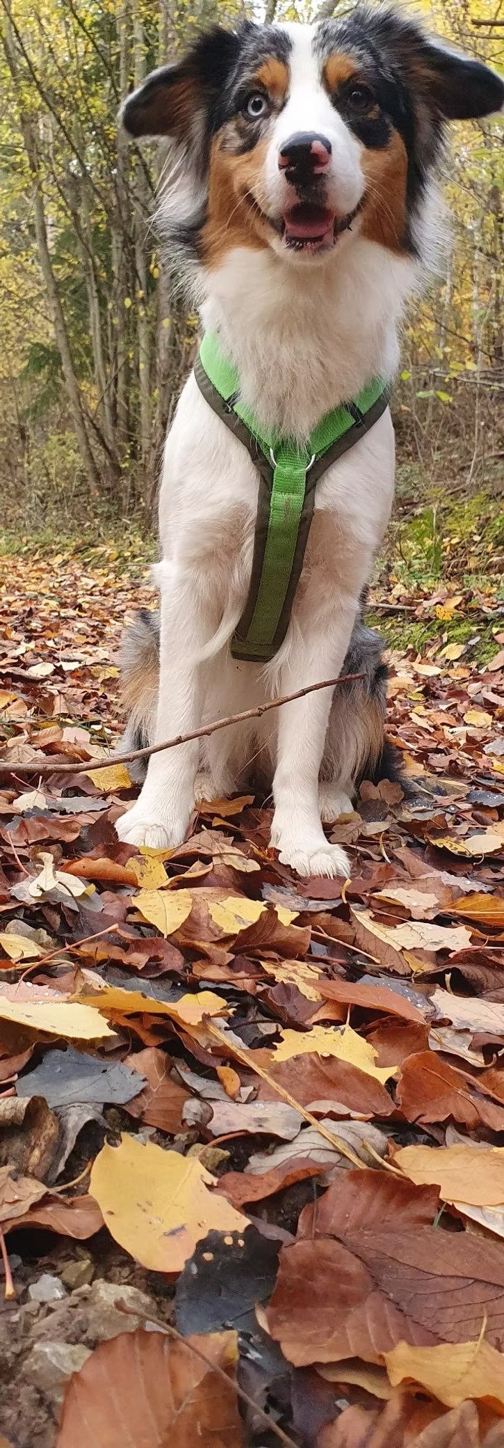 imageye___-_imgi_64_bd0da7_e9aa9096a4c24c469fe288c384460073~mv2