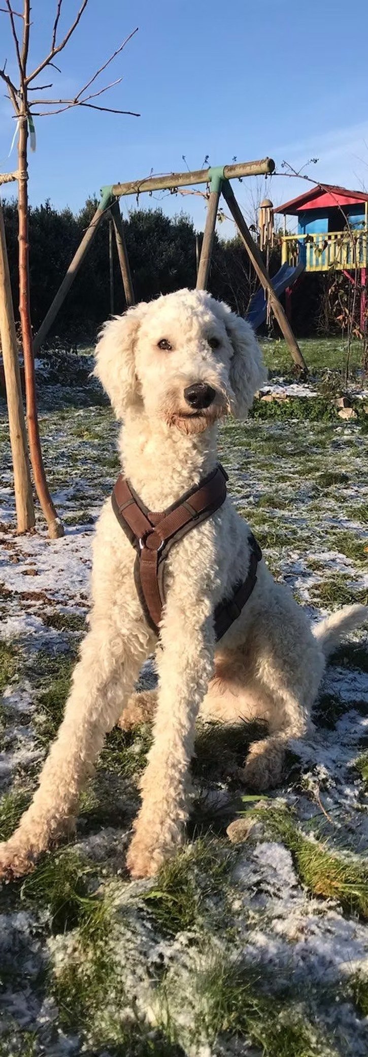 imageye___-_imgi_65_bd0da7_42223e85c7394c848e3b7d49f5c9f753~mv2