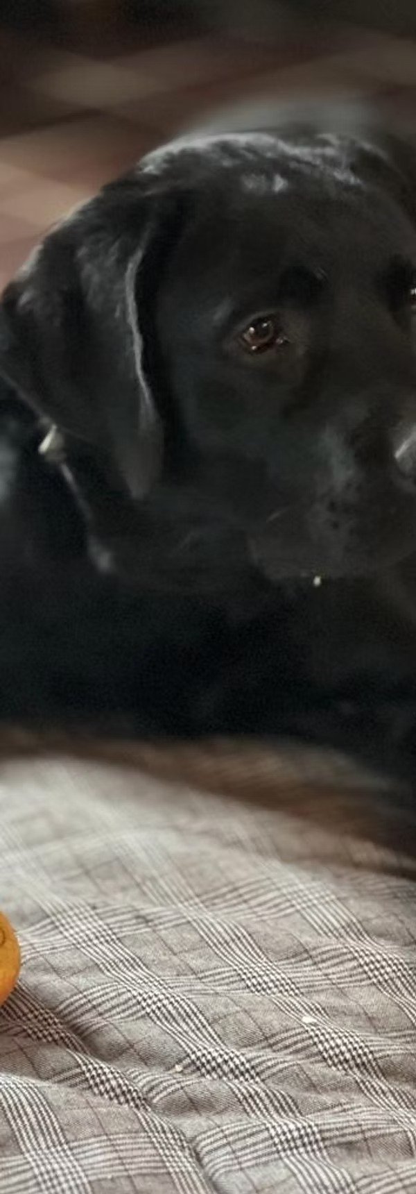 imageye___-_imgi_68_bd0da7_cf150fb9d1bc47bd887f3b3b1439500e~mv2